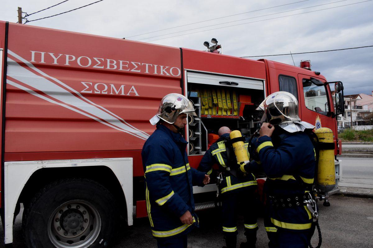 Φωτιά τώρα: Ανεξέλεγκτη η πυρκαγιά στο προστατευόμενο δάσος της Στροφυλιάς (vid)