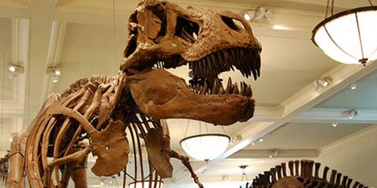 Εικονική πραγματικότητα: Ο Τυραννόσαυρος Ρεξ “ζωντανεύει” στο Μουσείο Φυσικής Ιστορίας