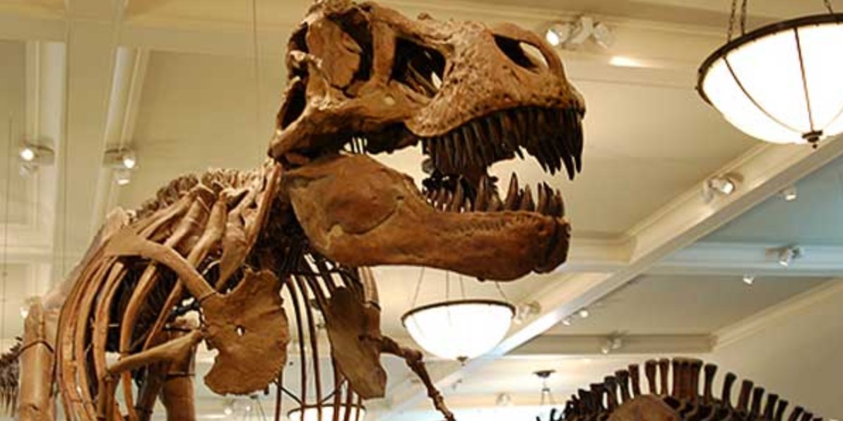 Εικονική πραγματικότητα: Ο Τυραννόσαυρος Ρεξ “ζωντανεύει” στο Μουσείο Φυσικής Ιστορίας