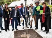 Δήμος Αθηναίων: Νέα πλατεία “ζωντανεύει” το Εμπορικό Τρίγωνο
