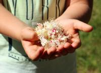 Πρωτομαγιά 2019: Εκδηλώσεις στο Πάρκο Σταύρος Νιάρχος