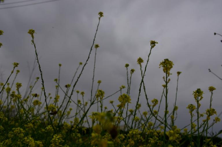 Καιρός αύριο: Η πρόγνωση για την Παρασκευή 10 Μαΐου 2019