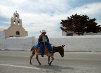 Σαντορίνη: Πρωτοβουλία Guardian για τα… γαϊδουράκια του νησιού