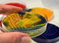 Candida Auris: To πανίσχυρο βακτήριο που προκαλεί ανησυχία