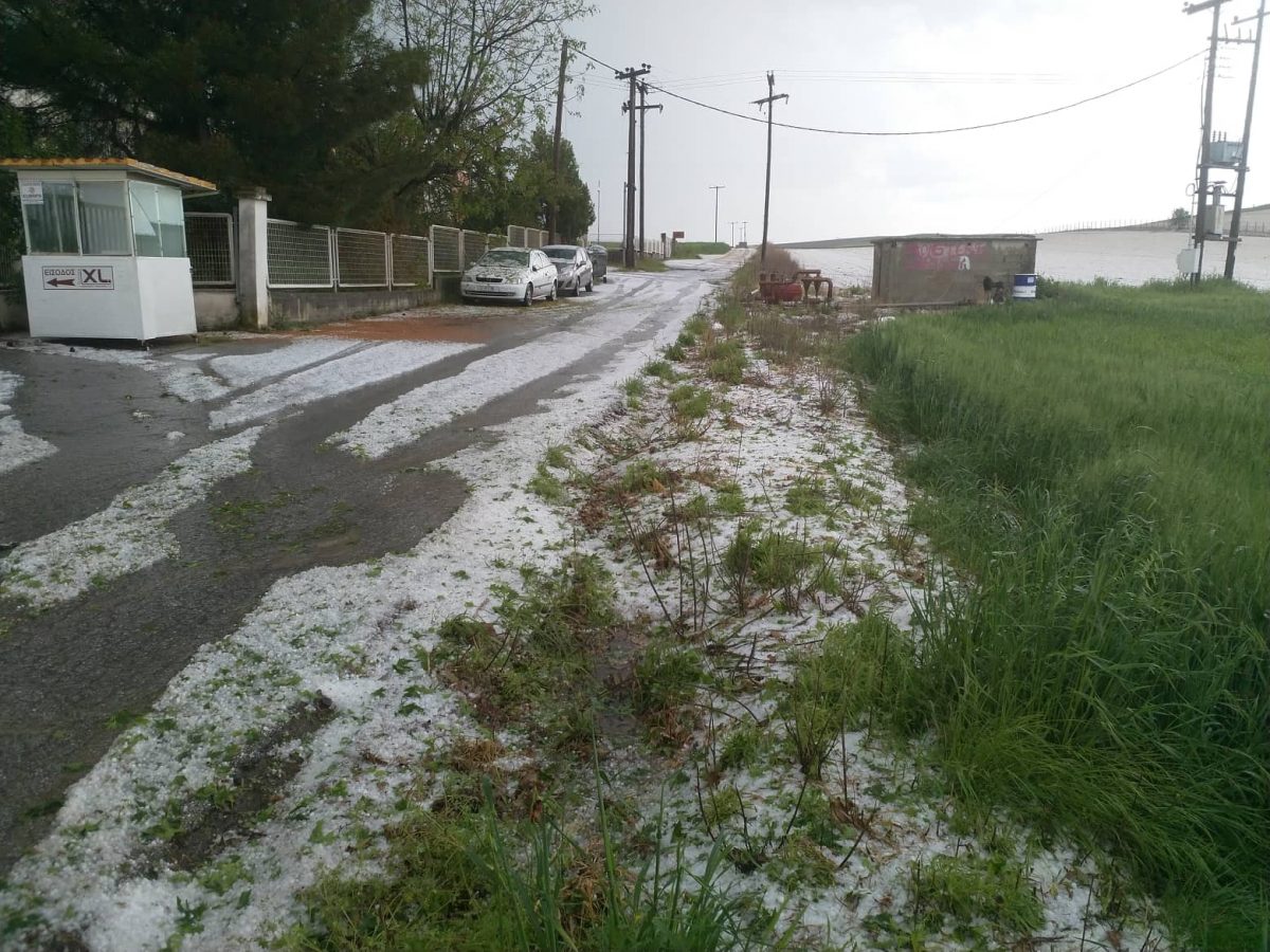 Καιρός: Δυνατή χαλαζόπτωση έξω από τη Λάρισα (vid)