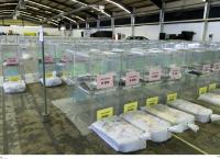 Δημοτικές εκλογές: Ανάλυση για τους υποψήφιους δημάρχους της Αθήνας