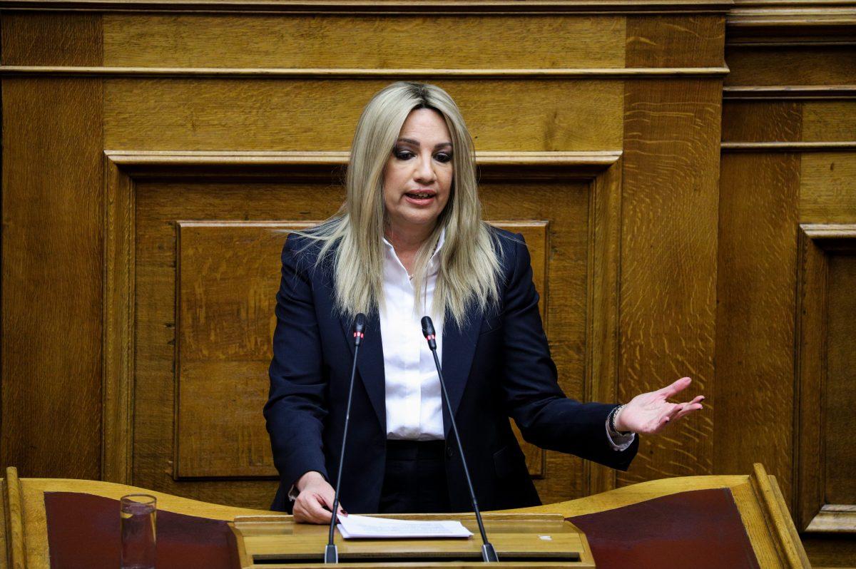 Φώφη Γεννηματά: “Σταθερά και μόνιμα μέτρα για ισότιμη πρόσβαση των ανθρώπων με αναπηρία στην κοινωνική ζωή”