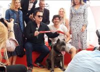 Κουέντιν Ταραντίνο: Ο μοντέρνος δημιουργός που κατακτά τον κινηματογράφο