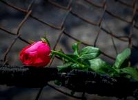 Μάτι: Το εντυπωσιακό και συγκινητικό γκράφιτι για τις 102 ψυχές που χάθηκαν (pic)