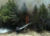 Φωτιά τώρα: Μεγάλες πυρκαγιές σε Αγίους Θεοδώρους και Εύβοια (vid)