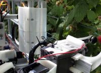 Αυτό είναι το πρώτο ρομπότ που μαζεύει σμέουρα ταχύτερα από ανθρώπους (vid)