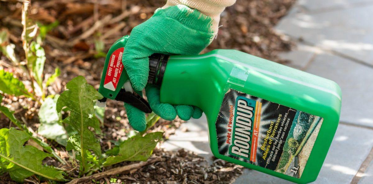 Roundup: Η Bayer καλείται να πληρώσει αποζημίωση – μαμούθ σε ζευγάρι που πάσχει από καρκίνο
