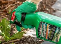 Roundup: Η Bayer καλείται να πληρώσει αποζημίωση – μαμούθ σε ζευγάρι που πάσχει από καρκίνο