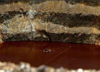 Serial killer στην Κύπρο: Βρέθηκε η τρίτη βαλίτσα στην Κόκκινη Λίμνη