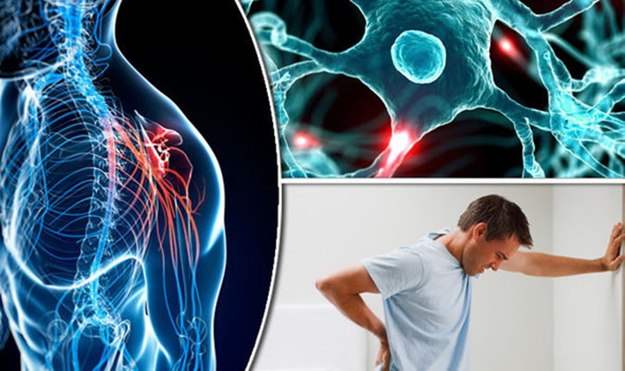 Σκλήρυνση κατά Πλάκας: Παγκόσμια Ημέρα σήμερα – Μύθοι και αλήθειες