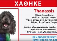 Ευρωεκλογές 2019: Αιχμηρό σποτ από τους ΑΝΕΛ – “Amber alert” για τον Thanassis (vid)