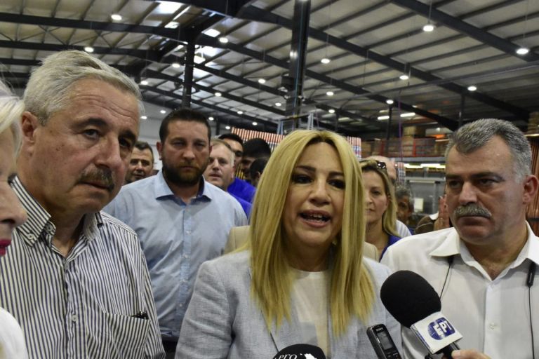 Φώφη Γεννηματά για εκλογές 2019: Στις 7 Ιουλίου να ψηφίσουμε με βάση τη λογική
