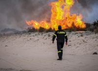 Φωτιά τώρα: Πυρκαγιά καίει δάσος στη Δυτική Αχαΐα
