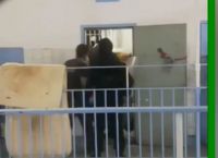 Φυλακές Κορυδαλλού: Κρατούμενοι βιντεοσκοπούν επιχείρηση της ΕΛ.ΑΣ.