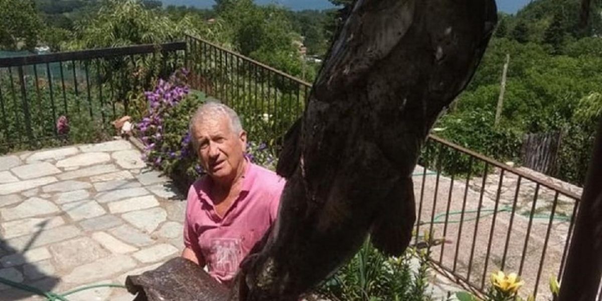 Γουλιανός – τέρας στα “χέρια” 72χρονου ψαρά στη λίμνη Πλαστήρα