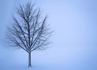 Παγκόσμια ημέρα για την καταπολέμηση της απερήμωσης και της ξηρασίας