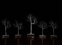 Micro: Το διεθνές φεστιβάλ ταινιών μικρού μήκους ταυτόχρονα σε 12 πόλεις της Ελλάδας και του εξωτερικού