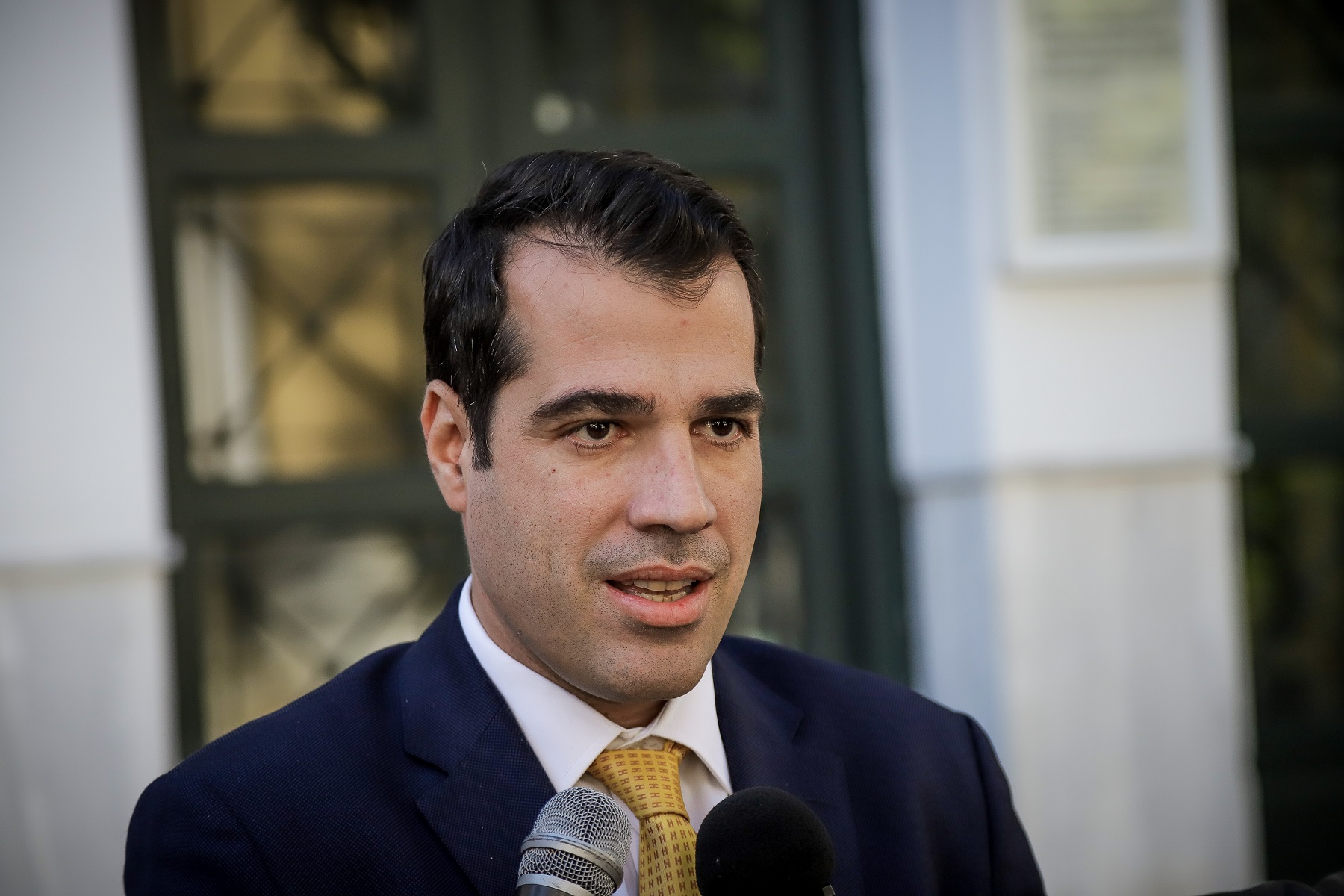 Πέθανε η μητέρα του Θάνου Πλεύρη