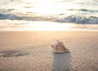 Ζώδια: Η συμβουλή της ημέρας (1/7/19)