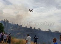 Φωτιά τώρα: Τέσσερις πυρκαγιές στη Φθιώτιδα – Εκκενώθηκαν σπίτια στη Δίβρη (pics&vids) Φωτιά τώρα: Τέσσερις πυρκαγιές στη Φθιώτιδα – Εκκενώθηκαν σπίτια στη Δίβρη (pics&vids)