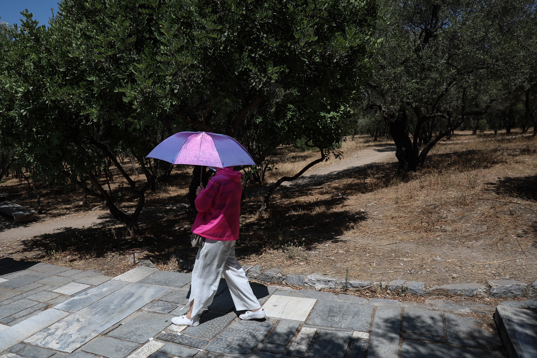 Καιρός σήμερα: Η πρόγνωση για την Παρασκευή (5/7)