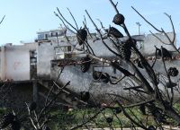 ΠΟΕΔΗΝ: “Ο κ. Τσίπρας ακόμα παίζει κρυφτούλι με τους 100 νεκρούς στο Μάτι “