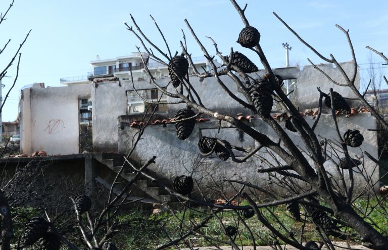 ΠΟΕΔΗΝ: “Ο κ. Τσίπρας ακόμα παίζει κρυφτούλι με τους 100 νεκρούς στο Μάτι “