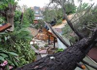 Χαλκιδική ρεύμα: Εκτεταμένα προβλήματα στην ηλεκτροδότηση – Πότε θα αποκατασταθεί η βλάβη