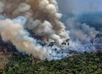 Αμαζόνιος: Γιατί μάθαμε ότι καίγεται μετά από τρεις εβδομάδες; Αμαζόνιος: Γιατί μάθαμε ότι καίγεται μετά από τρεις εβδομάδες;