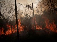 Βραζιλία Αμαζόνιος: Ρεκόρ πυρκαγιών για τον μήνα Ιούνιο