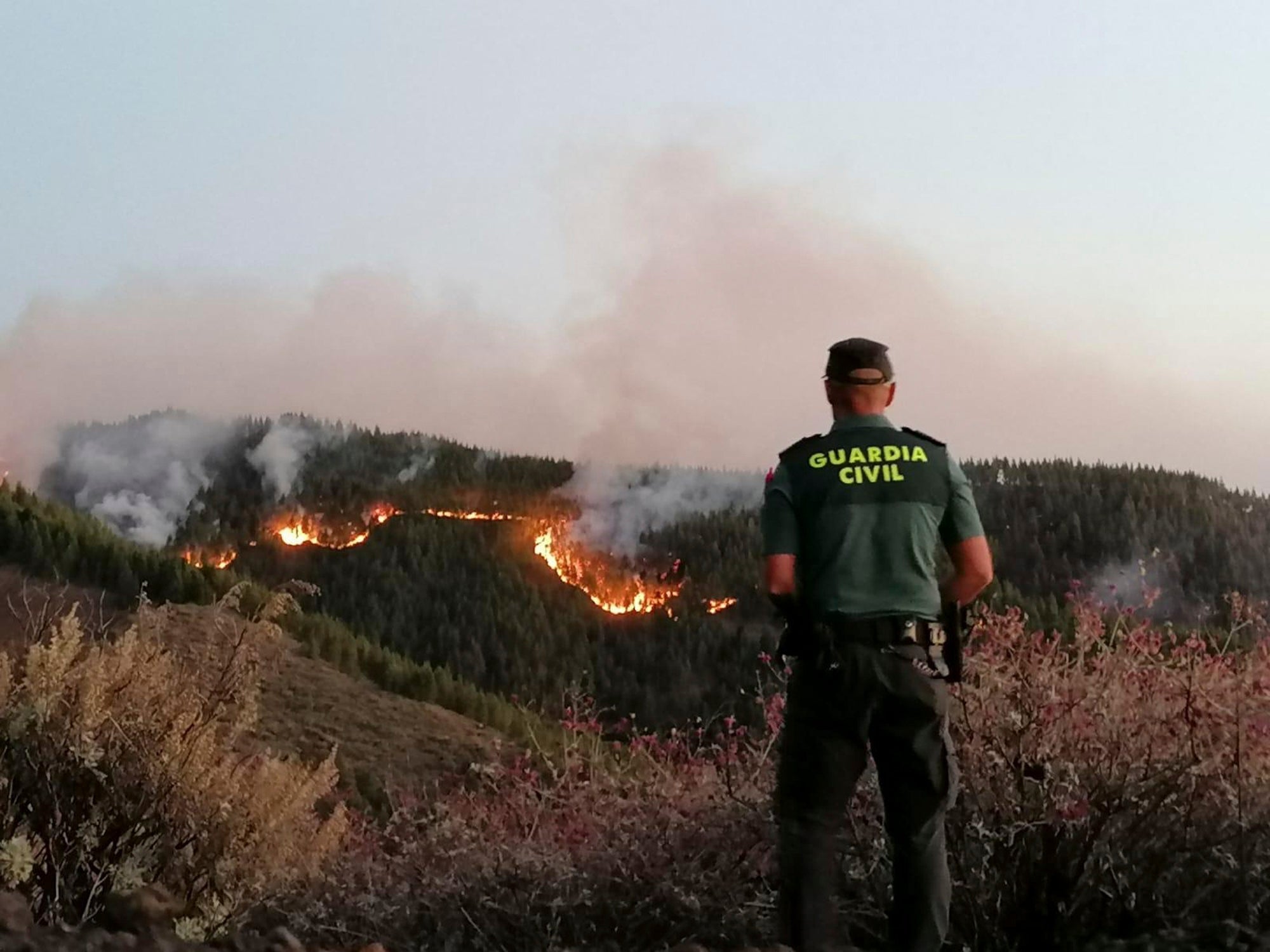 Φωτιά: Συναγερμός στα Κανάρια Νησιά – Απομακρύνθηκαν 8000 άνθρωποι