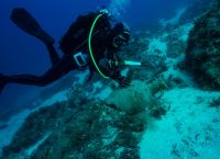 Τραγωδία στην Κάρπαθο: Τα λάθη που στοίχισαν τη ζωή στους δύο δύτες