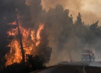 Φωτιά Εύβοια: Προσήχθη ένας ύποπτος για την πυρκαγιά στην Ιστιαία
