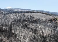 Φωτιά Εύβοια: Οι αρχές ζητούν άρση του τηλεφωνικού απορρήτου