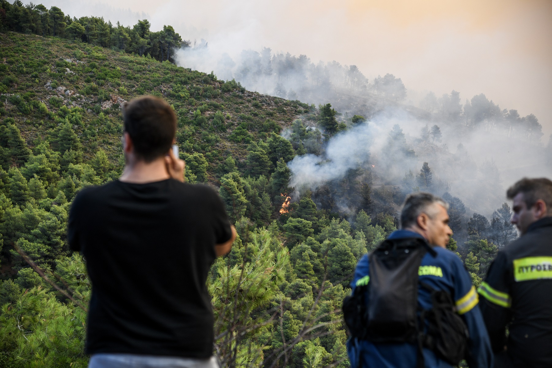 Φωτιά Εύβοια: Καταστράφηκε το πευκοδάσος Natura – Έσωσε τέσσερα χωριά η Πυροσβεστική