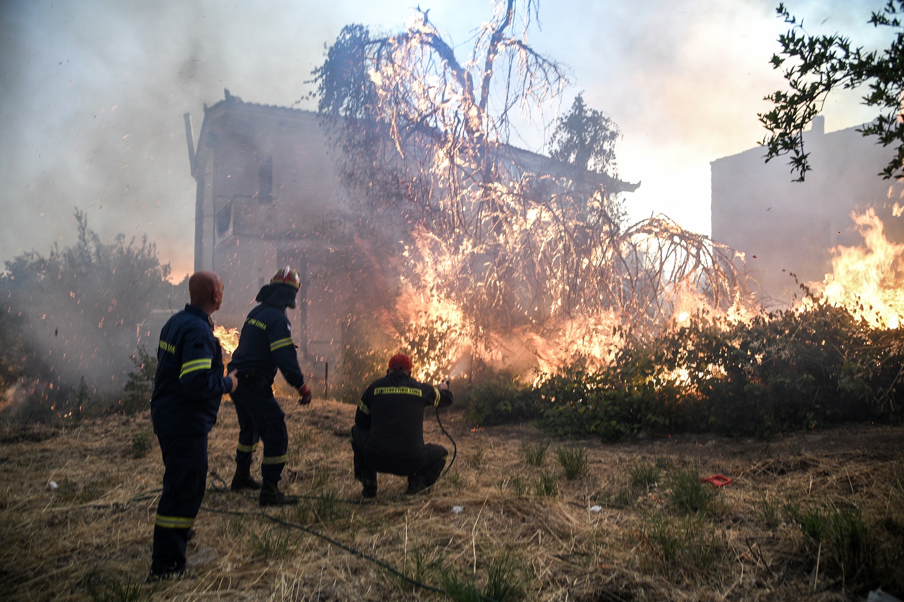 Φωτιά στην Εύβοια: Συγκλονιστικές οι εικόνες – Έφτασαν στις αυλές σπιτιών οι φλόγες