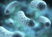 Νόσος των Λεγεωνάριων: Σε έξαρση τους καλοκαιρινούς μήνες