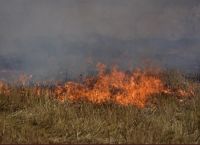 Φωτιά τώρα: Ανεξέλεγκτη η πυρκαγιά στην Αρχαία Ολυμπία – Σε ετοιμότητα για εκκένωση ο Ξηρόκαμπος