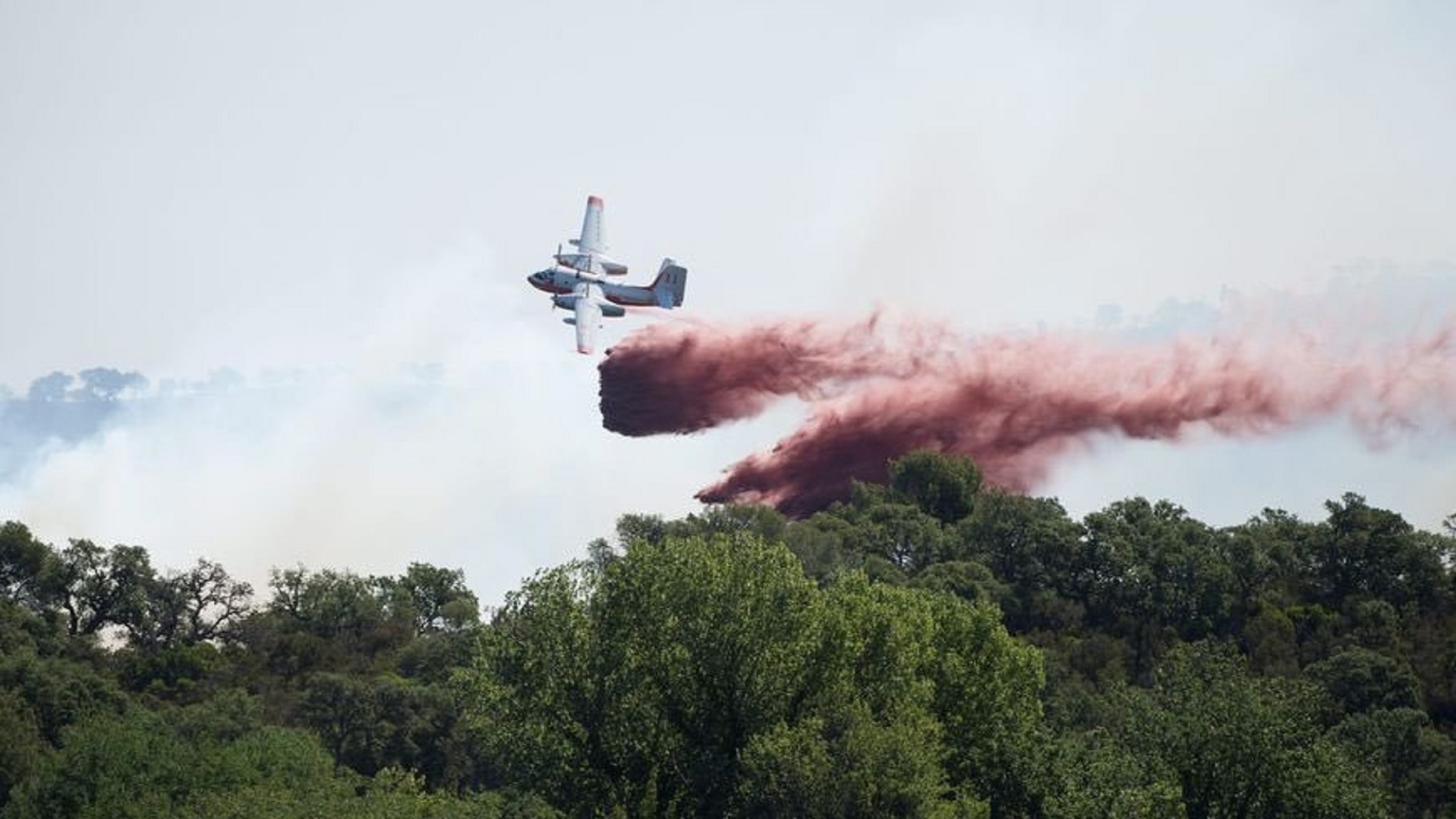Φωτιά Πέλλα: Μαίνεται η πυρκαγιά από την Κυριακή – Σκάνε βλήμματα από τον Β’ Παγκόσμιο Πόλεμο
