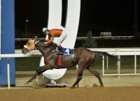 Markopoulo Park: Επικράτηση των φαβορί και πολλοί νικητές σε Σκορ 4 και Σκορ 6