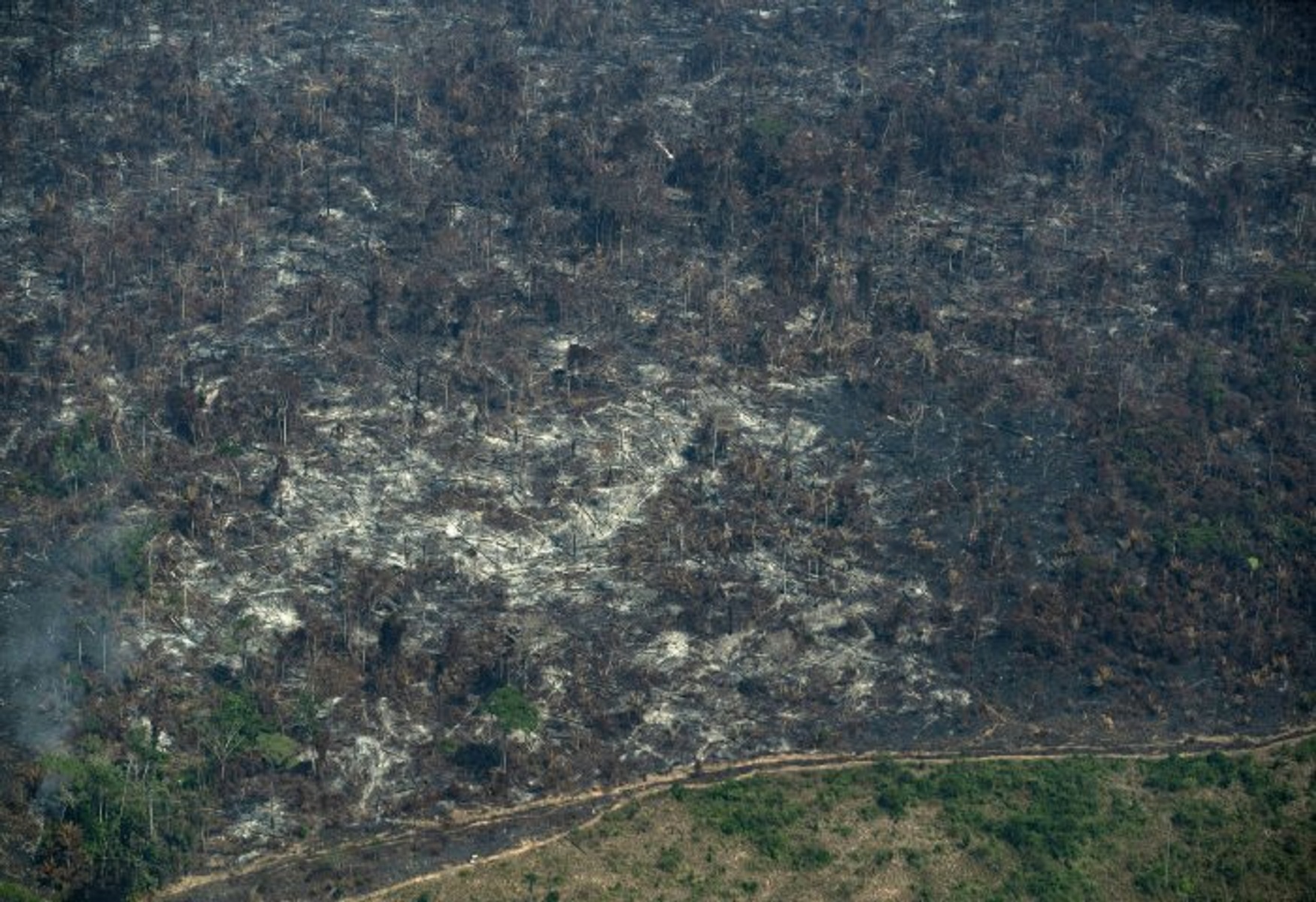 Ακόμη περισσότερες οι πυρκαγιές φέτος στον Αμαζόνιο από πέρσι