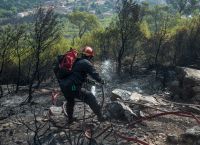 Φωτιά Νέα Μακρή: Σε ύφεση η πυρκαγιά – Καταγγελίες για εμπρησμό