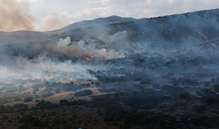 Φωτιά τώρα στην Κοζάνη: Πυρκαγιά σε αγροτική περιοχή – Μάχη και με εναέρια μέσα