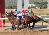 Markopoulo Park: Μοναδικό θέαμα με έξι κούρσες και το 2ο Off-Road Adventure Festival