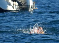 Φυλάσσονται τα σύνορα στην θάλασσα; Φυλάσσονται τα σύνορα στην θάλασσα;